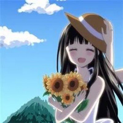 《白日提灯》今日开播